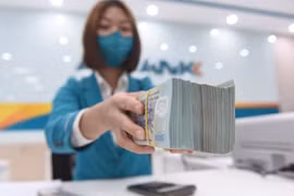 Vietnam analiza propuestas para cumplir meta de cero emisiones netas