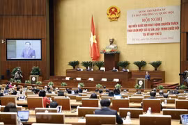 Máximo dirigente partidista de Vietnam asiste a reunión de diputados a tiempo completo