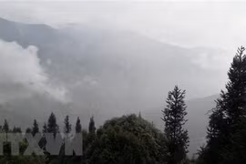 “Caza de nubes” en el norte de Vietnam: experiencia inolvidable para turistas