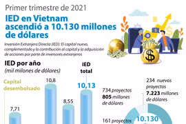 Vietnam atraje fondo multimillonario de IED