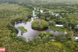 Parque nacional U Minh Thuong de Vietnam: destino fascinante para turistas