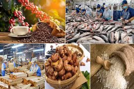 Vietnam ingresa fondo multimillonario por exportaciones agrosilvícolas en enero