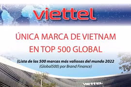 Viettel: único representante de Vietnam en top 500 de marcas más valiosas mundiales