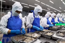 Desarrollo integral de mercado laboral: una de las prioridades de Vietnam