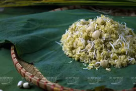 Arroz verde glutinoso: producto típico de Hanoi en otoño