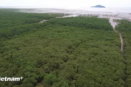 Luchan contra contaminación en Vietnam por compromiso de cero emisiones netas