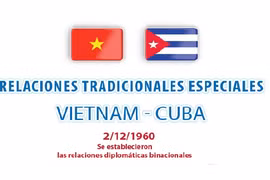 Vietnam y Cuba mantienen amistad imperecedera 