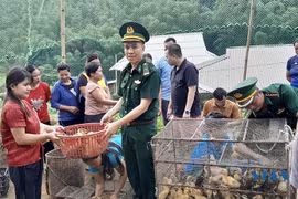 Provincia vietnamita de Thanh Hoa empeñada en mejorar vida de etnia minoriaria