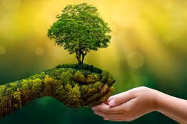 Crecimiento verde: opción indispensable de Vietnam