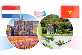 Progreso incesante de relaciones multifacéticas Vietnam- Países Bajos