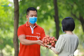 Impulsan venta de lichi en plataforma de e-comercio de Vietnam