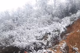 Congelamiento azota zonas montañosas norteñas de Vietnam