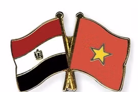 Vietnam y Egipto realizan octava consulta política 