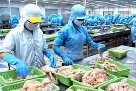 Viet Nam contra la pesca ilegal 