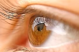 Foto de ilustración
