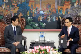Japón respalda la mayor cooperación legislativa con Vietnam 