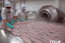 EE.UU. continúa medidas antidumping contra pescado vietnamita 
