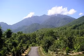 El Parque Nacional de Bach Ma (Caballo Blanco).