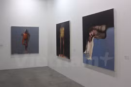 Algunas obras del artista Do Hoang Tuong en la exhibición (Fuente: VNA)