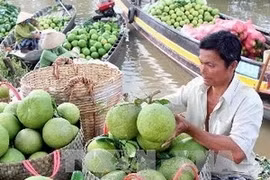 Productos vietnamitas buscan afianzarse en mercado mundial 