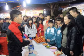 La Feria del Comercio y Turismo Vietnam – China 2013 se efectuá en la provincia norteña de Quang Ninh. (Fuente: VNA)