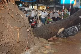 Aumentan muertos por tormenta Kai Tak en Vietnam 