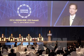 El primer ministro Nguyen Tan Dung en un discurso en el foro empresarial ASEAN- Sudcorea en Busan (Fuente: VNA)