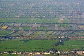 Realizan cita sobre planificación Delta del Mekong 