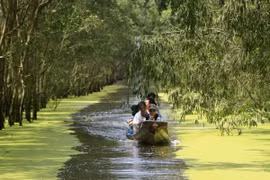 Parque Nacional de Tram Chim en temporada de inundaciones (Fuente: VNA)