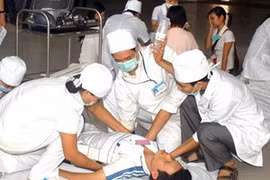 Universidades vietnamitas y estadounidenses fortalecen cooperación 
