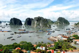 La bahía de Ha Long (Fuente:VNA)