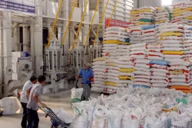 Plantea Bac Lieu 447 millones de dólares por exportaciones agrícolas 