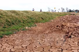 Sequías en Ninh Thuan (Fuente: VNA)