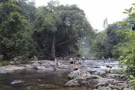 La Reserva de Naturaleza Khe Ro, An Lac y Son Dong en la provincia de Bac Giang. (Fuente: VNA)