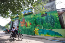 (Televisión) Atractiva aldea de pinturas murales de Chu Xa en Hanoi