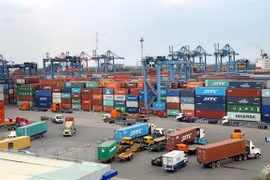 Productos vietnamitas cada vez más populares en Hong Kong (China)