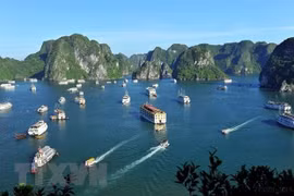 Búsquedas internacionales sobre el turismo vietnamita aumentan notablemente