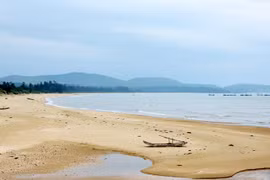 Provincia de Ninh Binh promueve potenciales de economía marítima
