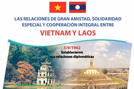 Relaciones de gran amistad, solidaridad especial y cooperación integral entre Vietnam y Laos