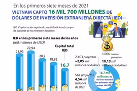 IED de Vietnam alcanza 16 mil 700 millones de dólares de enero a julio