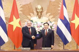 Vietnam y Cuba profundizan sus nexos de amistad especial
