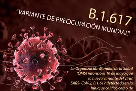 OMS califica la variante B.1.617 como de preocupación mundial 