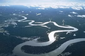 Empeñado Vietnam en resolver asuntos relacionados al medio ambiente