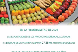 Exportaciones silviagrícolas y acuícolas de Vietnam alcanzan notable aumento