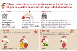 Fideos instantáneos vietnamitas accederán más fácil a UE por relajación de normas de seguridad alimentaria