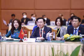 Vietnam asiste a la reunión del Comité Ejecutivo de AIPA