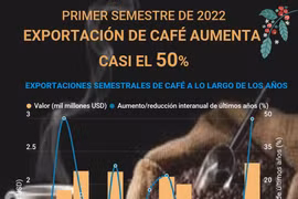 Exportación de cafe de Vietnam aumenta casi el 50% en primer semestre de 2022