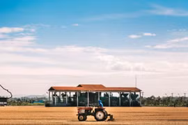 Reglamento europeo sobre deforestación - nuevas oportunidades para agricultura vietnamita