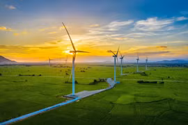 Energía verde: soluciones de desarrollo sostenible para el futuro