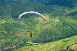 Parachutes revolotean sobre arrozales dorados de Lim Mong 